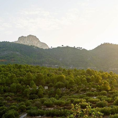 Casa Rural La Canal De Salem Εξωτερικό φωτογραφία