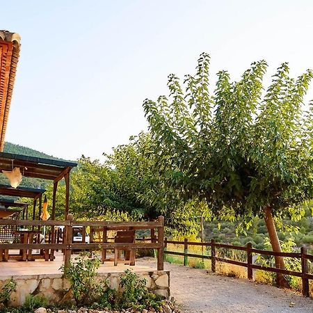 Casa Rural La Canal De Salem Εξωτερικό φωτογραφία