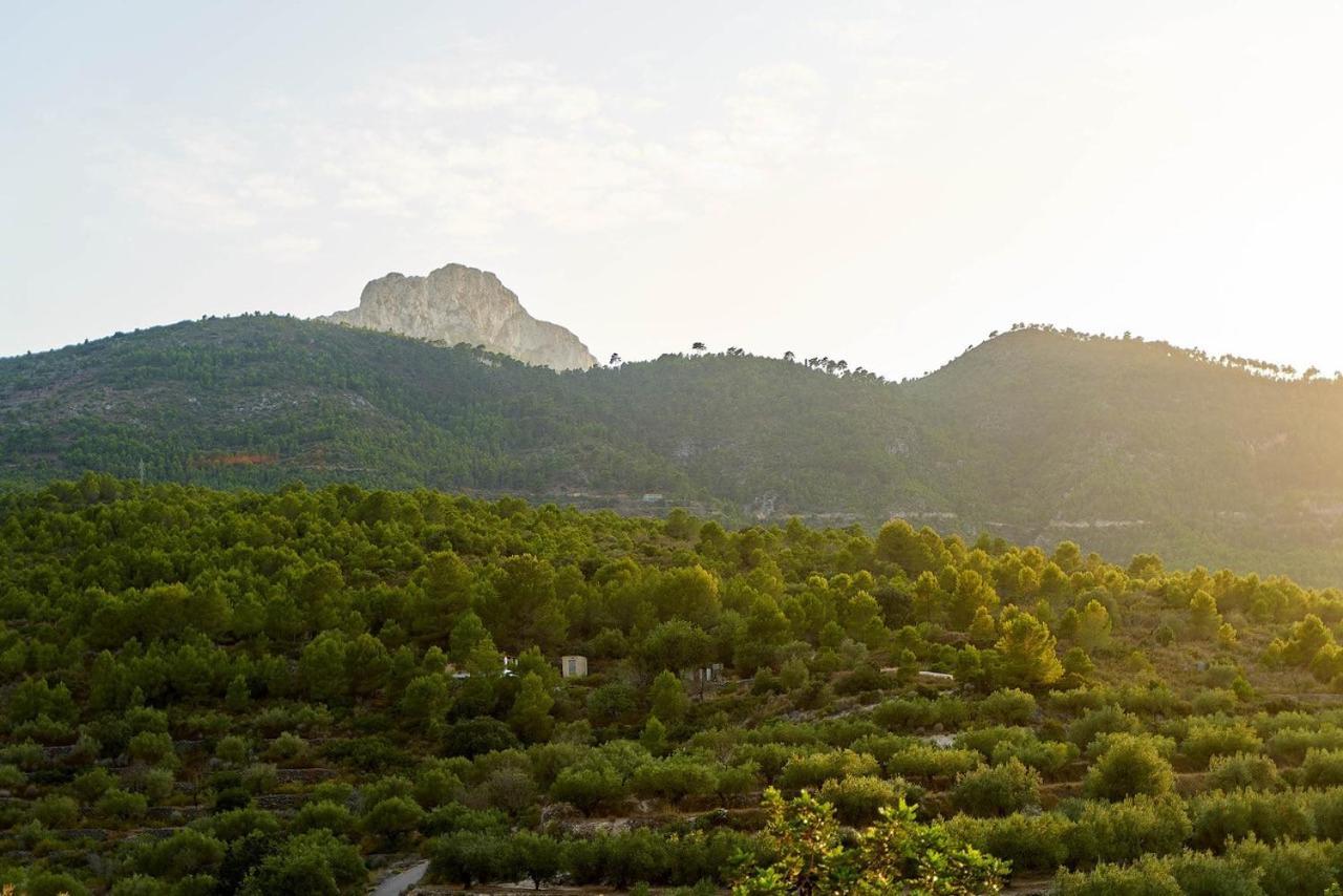 Casa Rural La Canal De Salem Εξωτερικό φωτογραφία